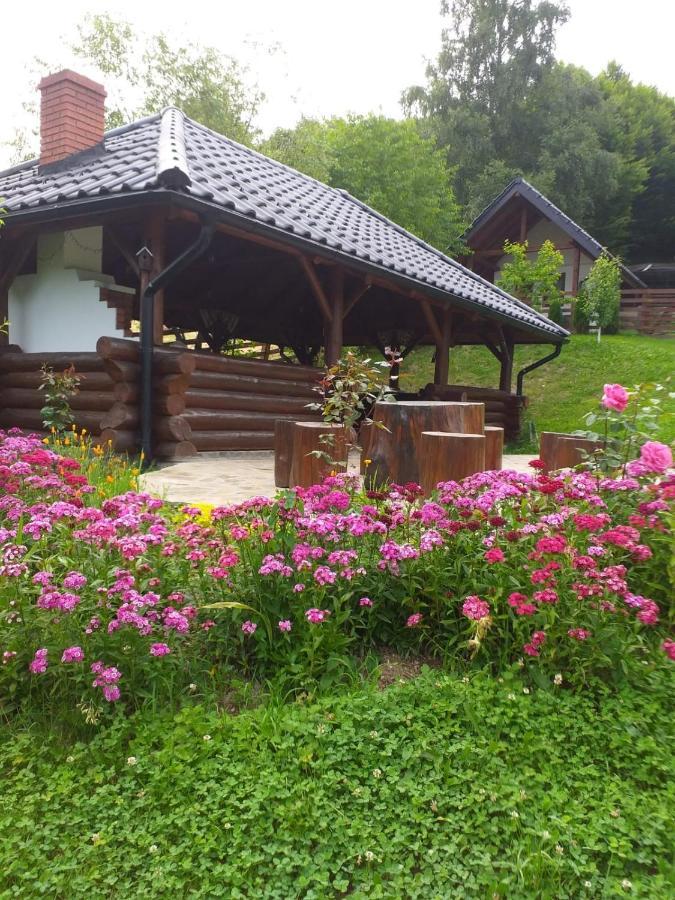 Отель Pensiunea Doina Bucovinei Мэнэстиря-Гуморулуй Экстерьер фото